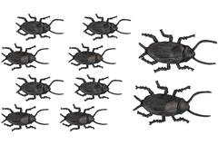 10 Cockroaches Brown Plastic Length 5 cm