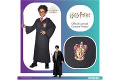 Child Costume Harry Potter Robe Kit 8-10 Years