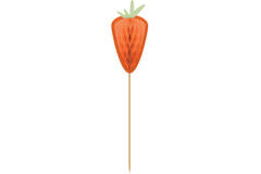 10 Picks Carrots Honeycombs Wood 17 cm