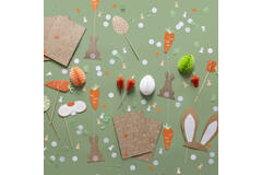 10 Picks Carrots Honeycombs Wood 17 cm