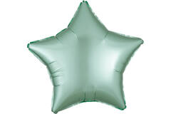 Standard Silk Lustre Mint Green Star Foil Balloon C16 Packaged 48 cm
