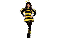 Adult Costume Darling Bee Size S/M