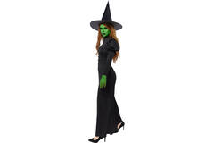 Adult Costume Wicked Witch Size L