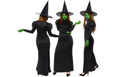 Adult Costume Wicked Witch Size L