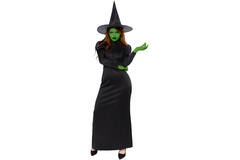 Adult Costume Wicked Witch Size XL