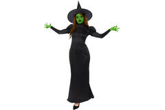 Adult Costume Wicked Witch Size XXL