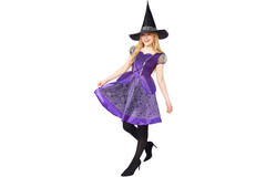 Adult Costume Purple Willow Witch Size L