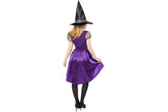Adult Costume Purple Willow Witch Size L