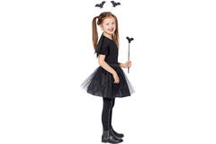 Accessory Kit Bat