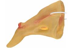 Costume Accessory Crooked Witch Nose with Wart One Size