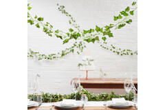 Foliage Vines