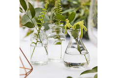 Decorations - Glass Bottle Set