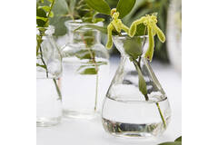 Decorations - Glass Bottle Set