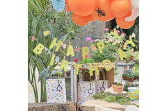 Bunting - Happy Birthday Bug Bunting