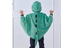Dinosaur Cape