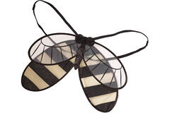 Bumblebee Wings