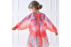Butterfly Wings