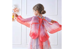 Butterfly Wings