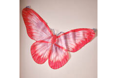 Butterfly Wings