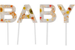 Pressed Flowers Baby Cake Topper