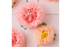 Tissue Paper Flower Pom Poms