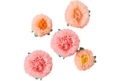 Tissue Paper Flower Pom Poms